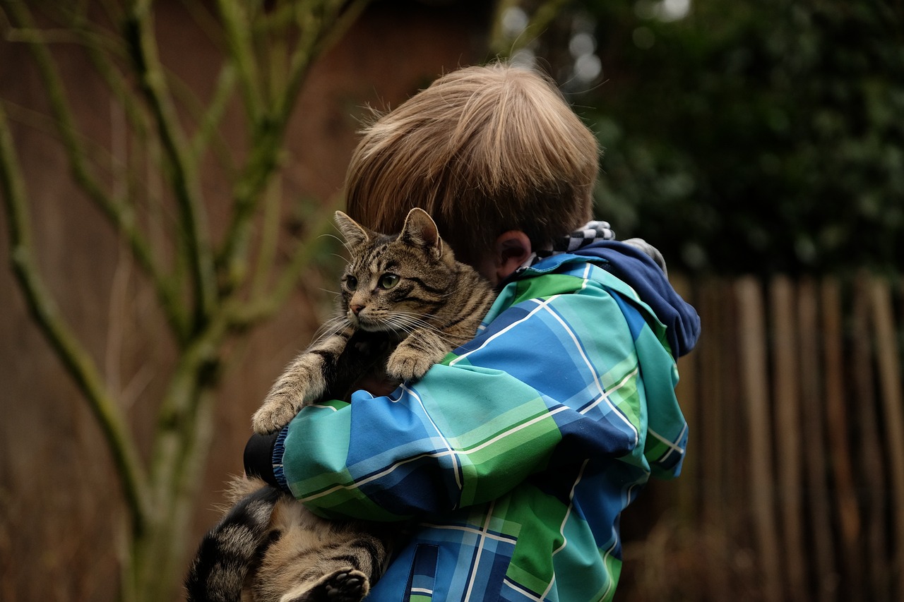 子供と相性のいい猫2