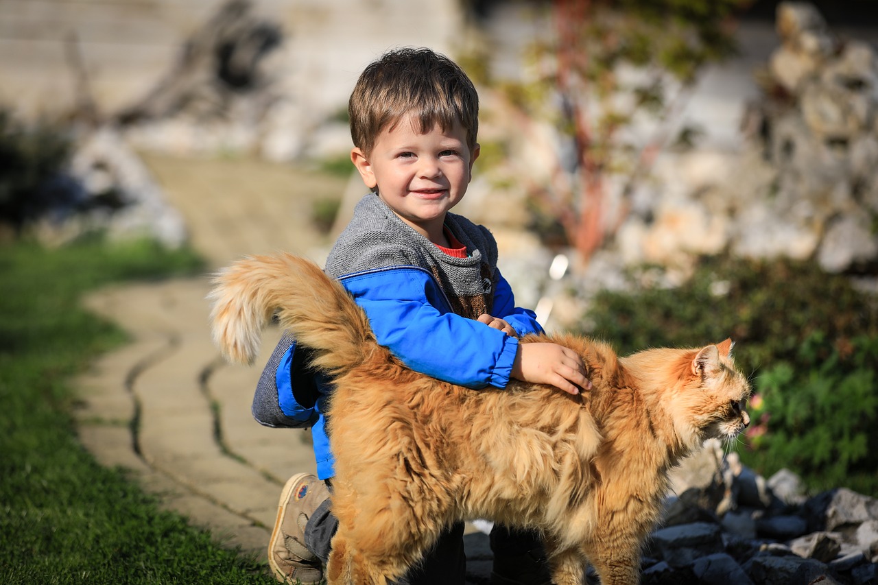 子供と相性のいい猫6