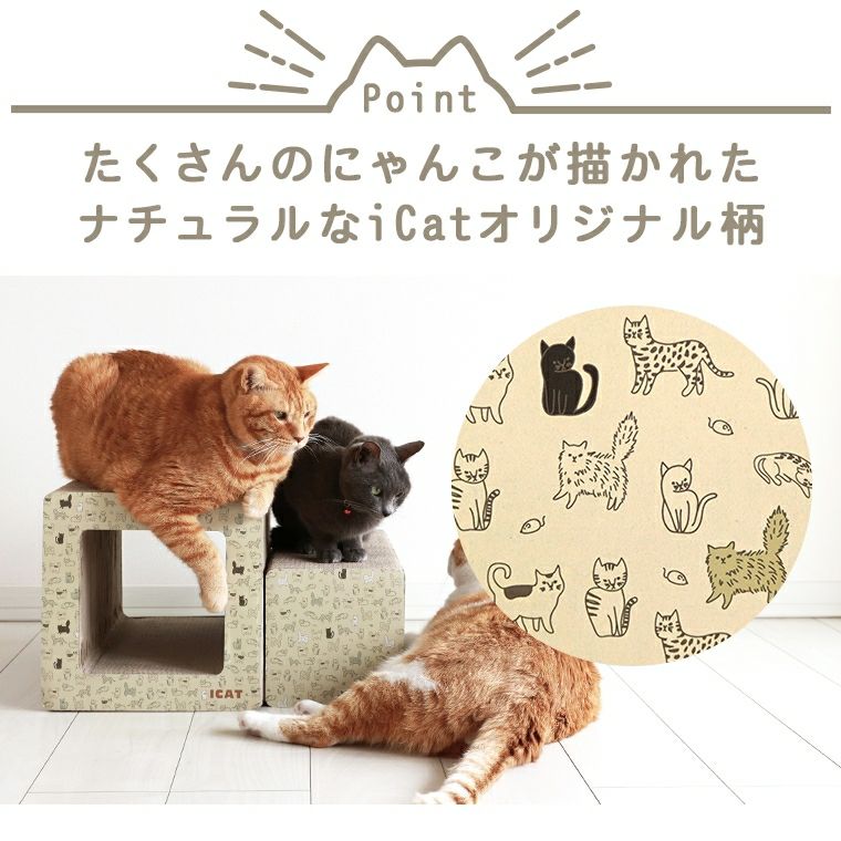 猫が爪とぎをするわけ15