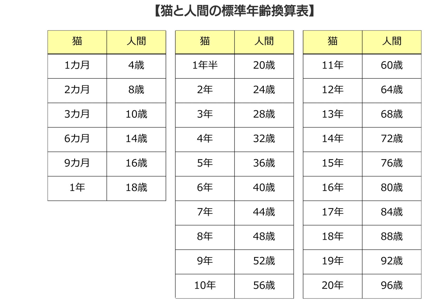 猫のシニア対策3