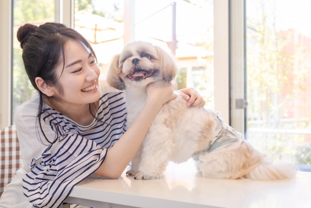 犬の抜け毛対策1