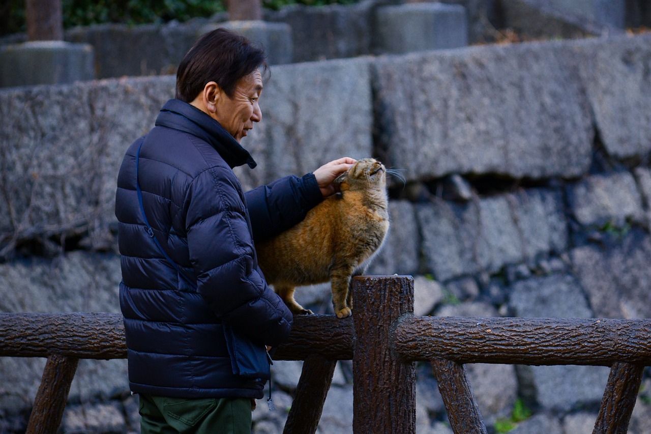 猫との信頼関係1