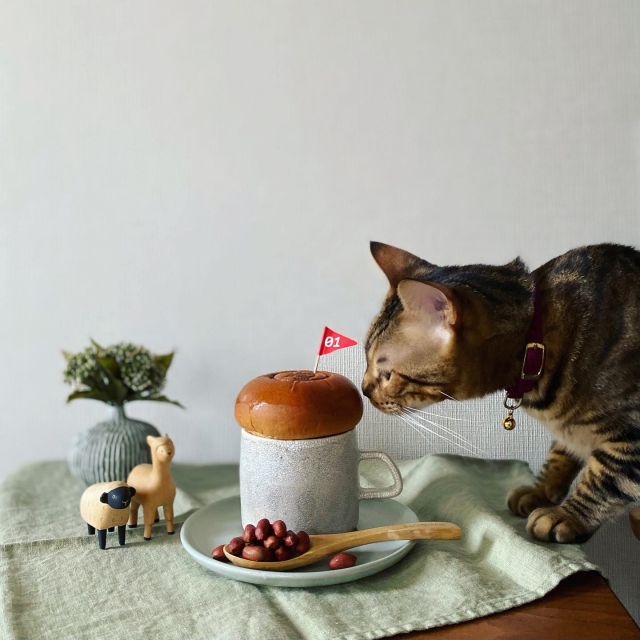 猫にコーヒーはNG5