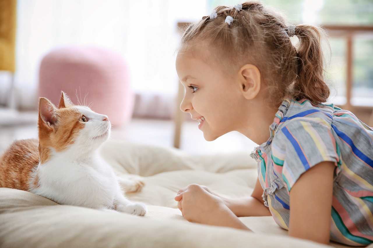 子どもが猫を飼いたいと言ったら