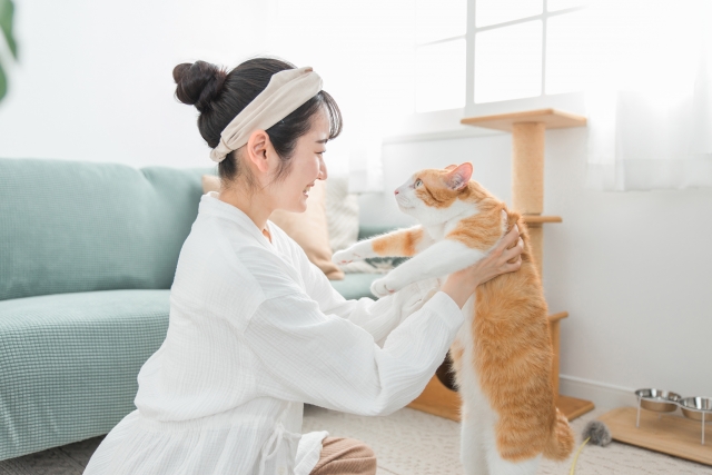 猫が足元で寝る理由3