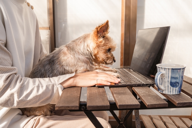 犬にコーヒーを飲ませたらダメ5