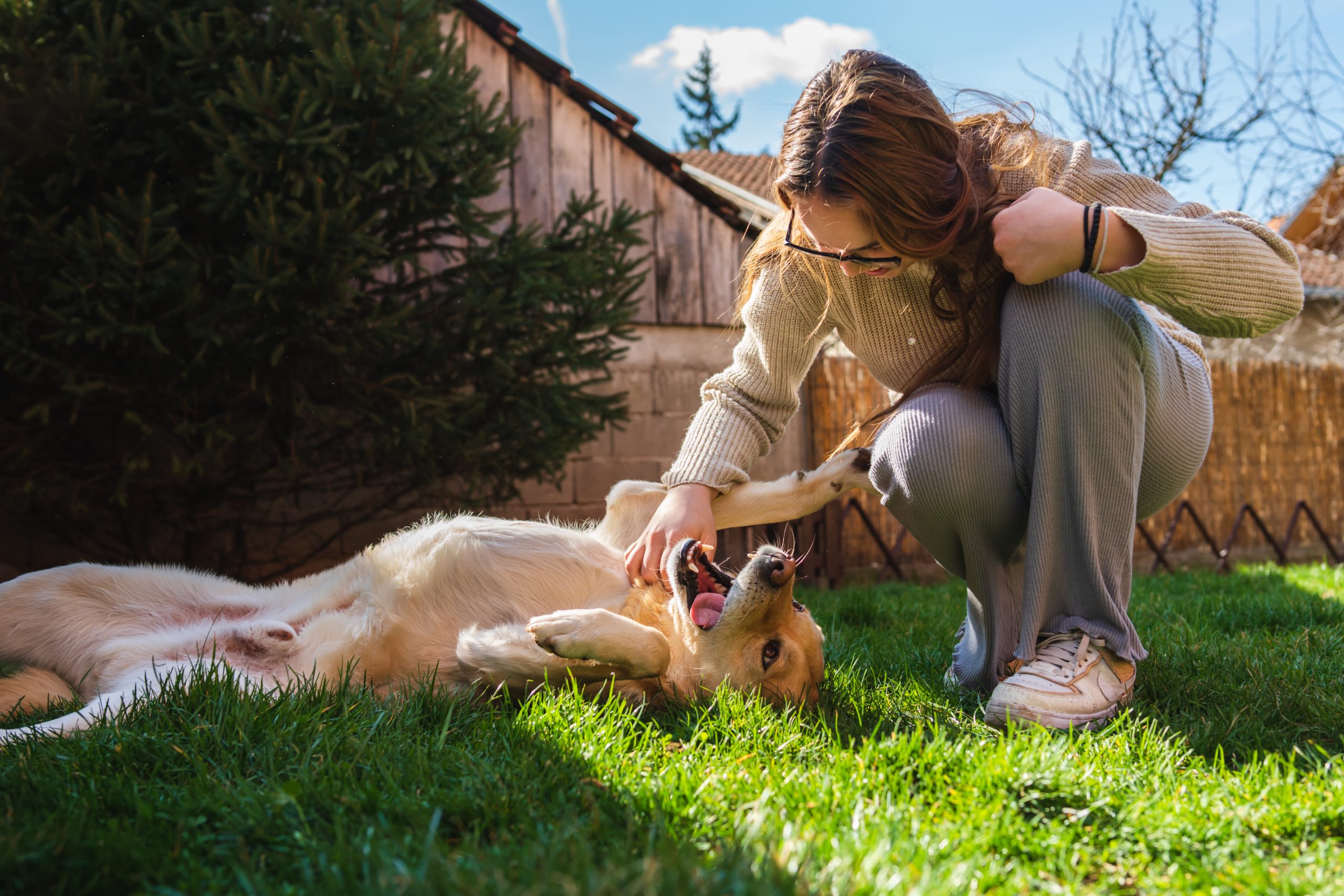 Dogs_kept_outside